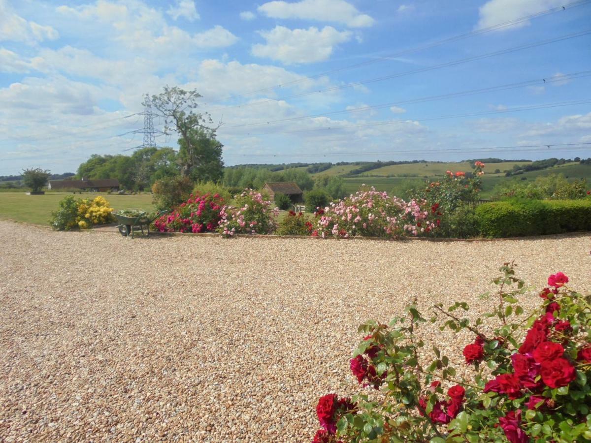 Rose Cottage Rye Eksteriør billede
